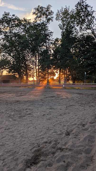 Außenansicht Ferienwohnung Reiterhof Dammkrug Güssefeld
