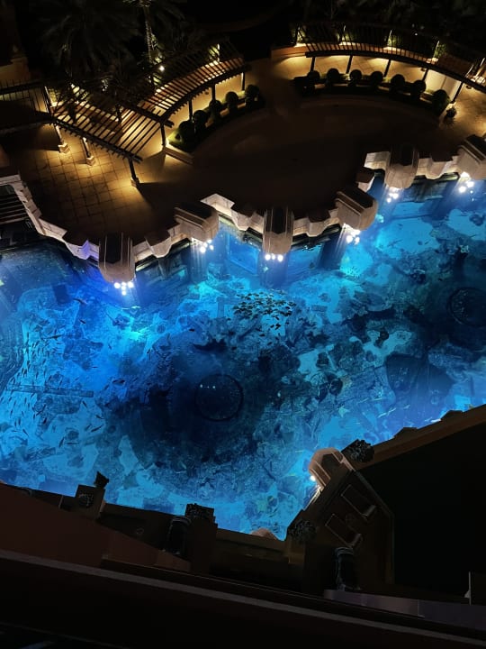 Pool Atlantis, The Palm