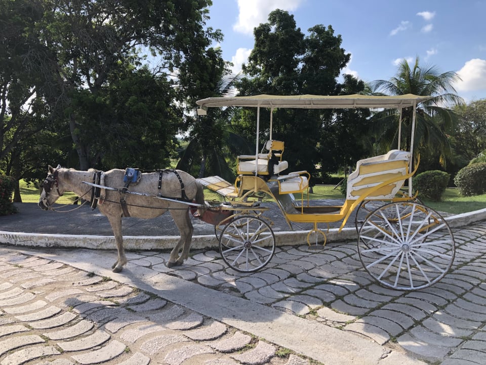Sonstiges Sol Rio De Luna y Mares