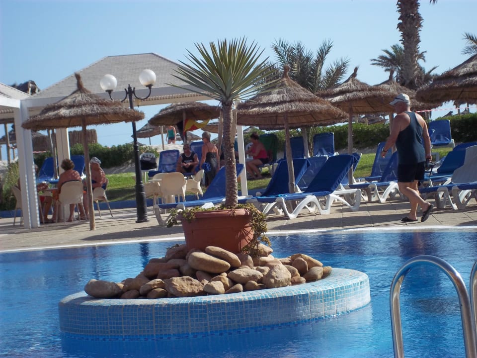 Kleine Palme im Pool Caribbean World Thalasso Djerba