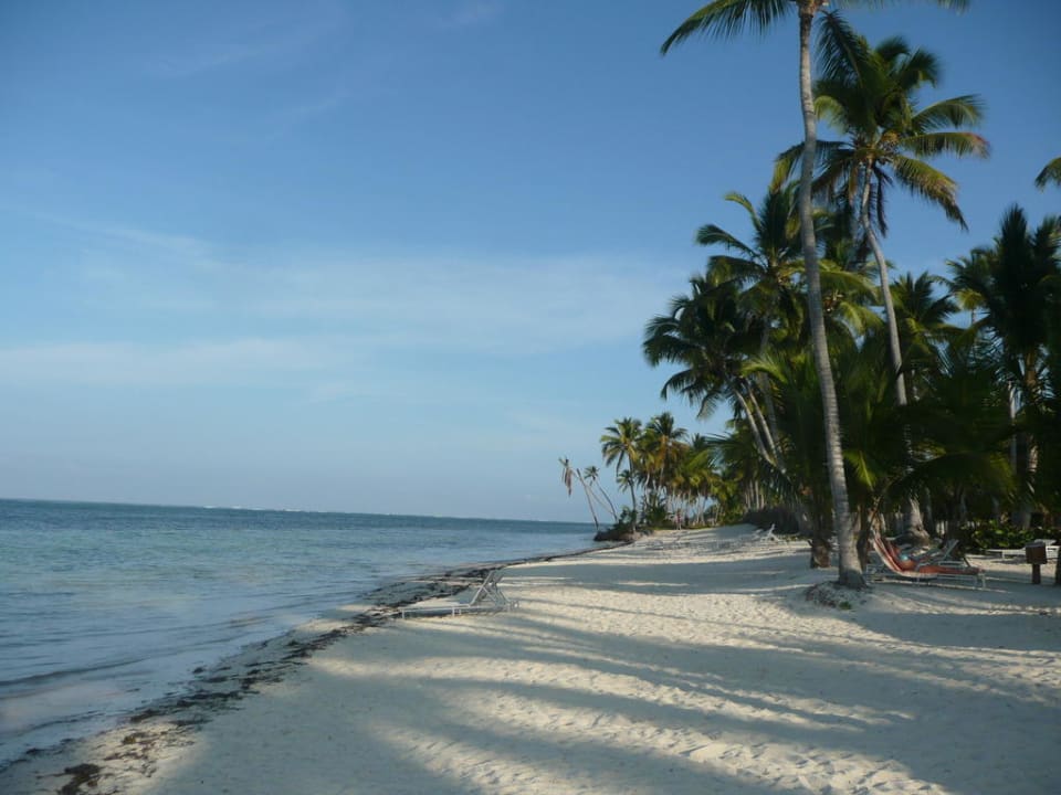 Traumstrand im Royal-Bereich Catalonia Royal Bavaro - Adults only