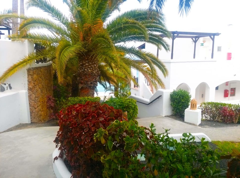 Weg runter zum Strand Club Jandia Princess