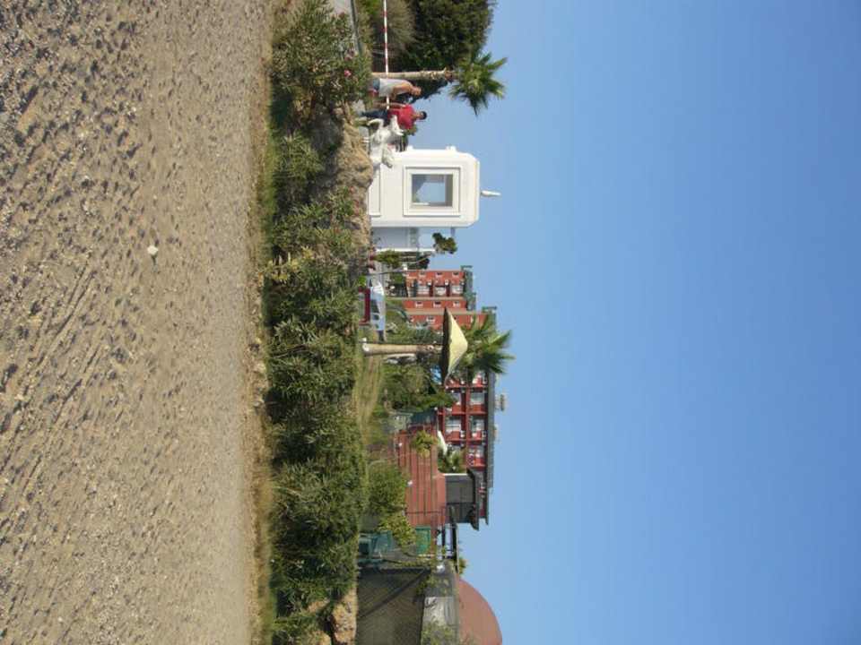 Sun Flipper Hotel Club Life Kizilot