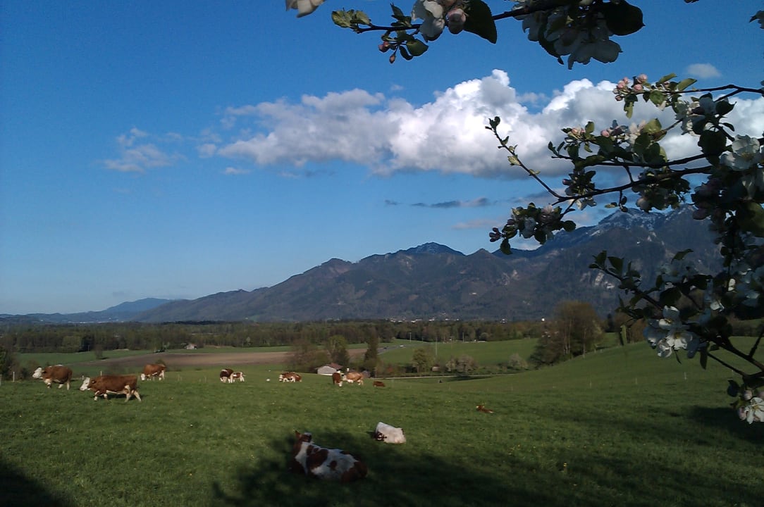 Sonstiges Ferienwohnung Hoderhof