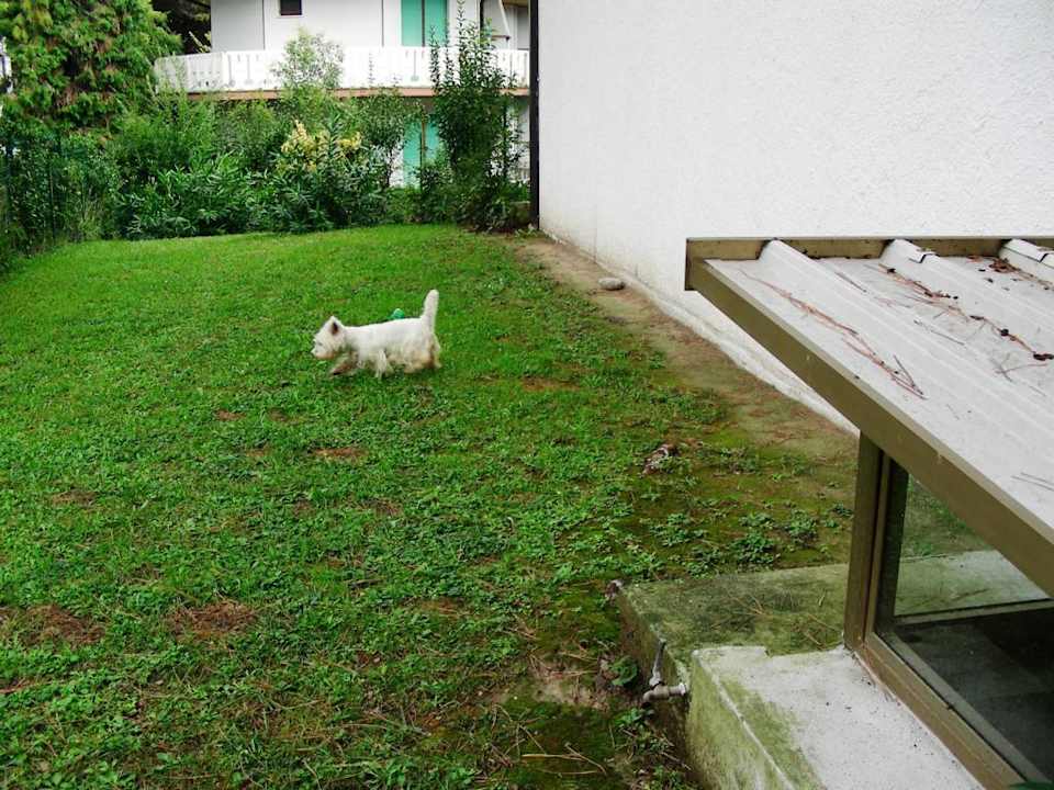 Villa Erika Ende September 2010 Villa Erica