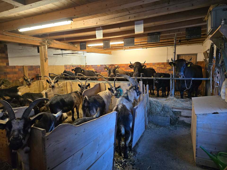 Sonstiges Alpengasthof Gröbl Alm