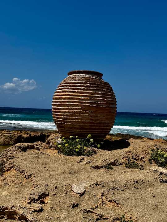 Strand allsun Hotel Carolina Mare