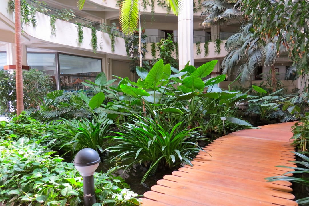 Innenhof Paradisus by Meliá Salinas Lanzarote