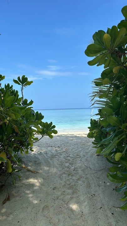 Strand Summer Island Maldives