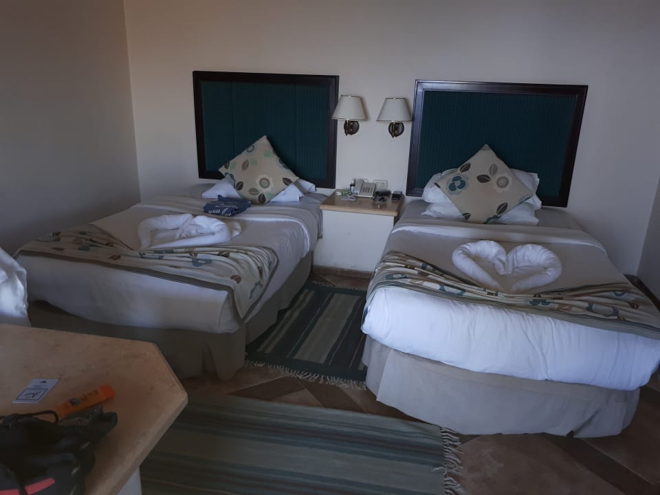 Zimmer Pickalbatros Citadel Resort