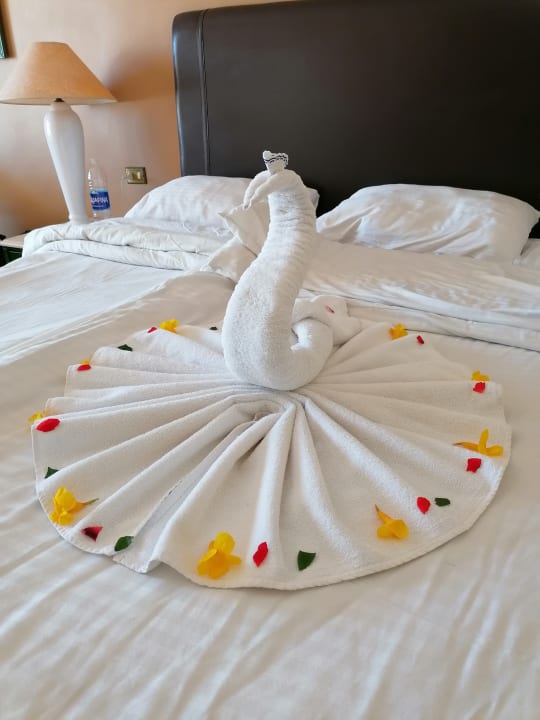 Zimmer Arabia Azur Resort