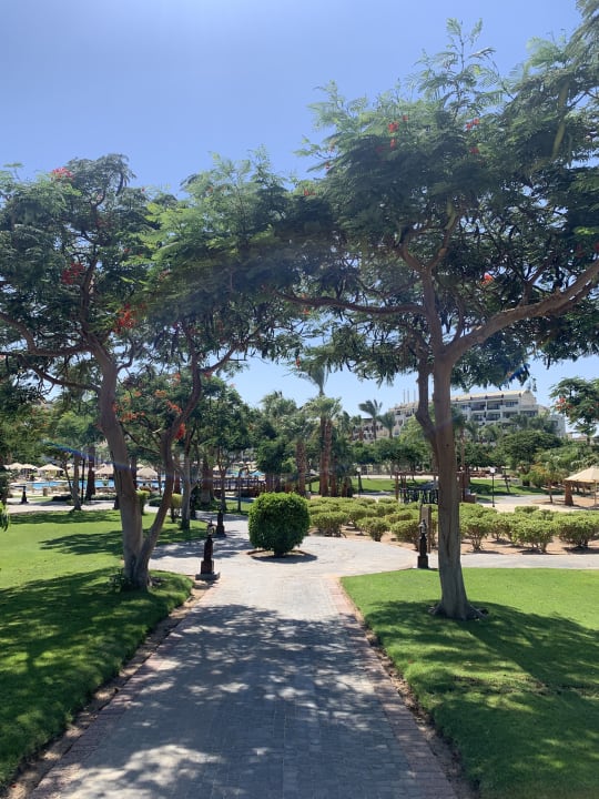 Gartenanlage Steigenberger ALDAU Beach Hotel