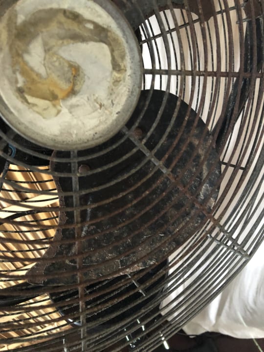 Zimmer Papua Paradise Eco Resort