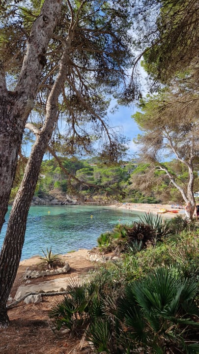 Strand Iberostar Waves Pinos Park