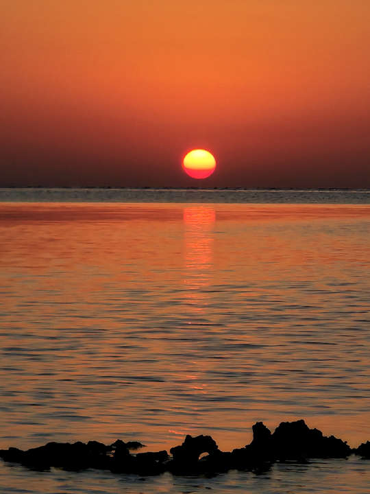 Strand JAZ Elite Asteria