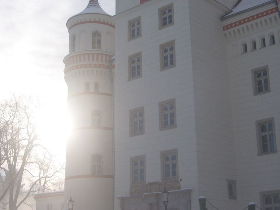 Pałac wojanów, główny budynek Pałac Wojanów