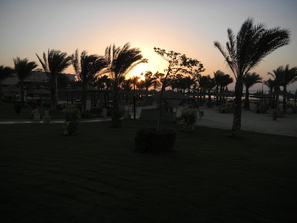 Sonnenaufgang Pickalbatros Palace Resort