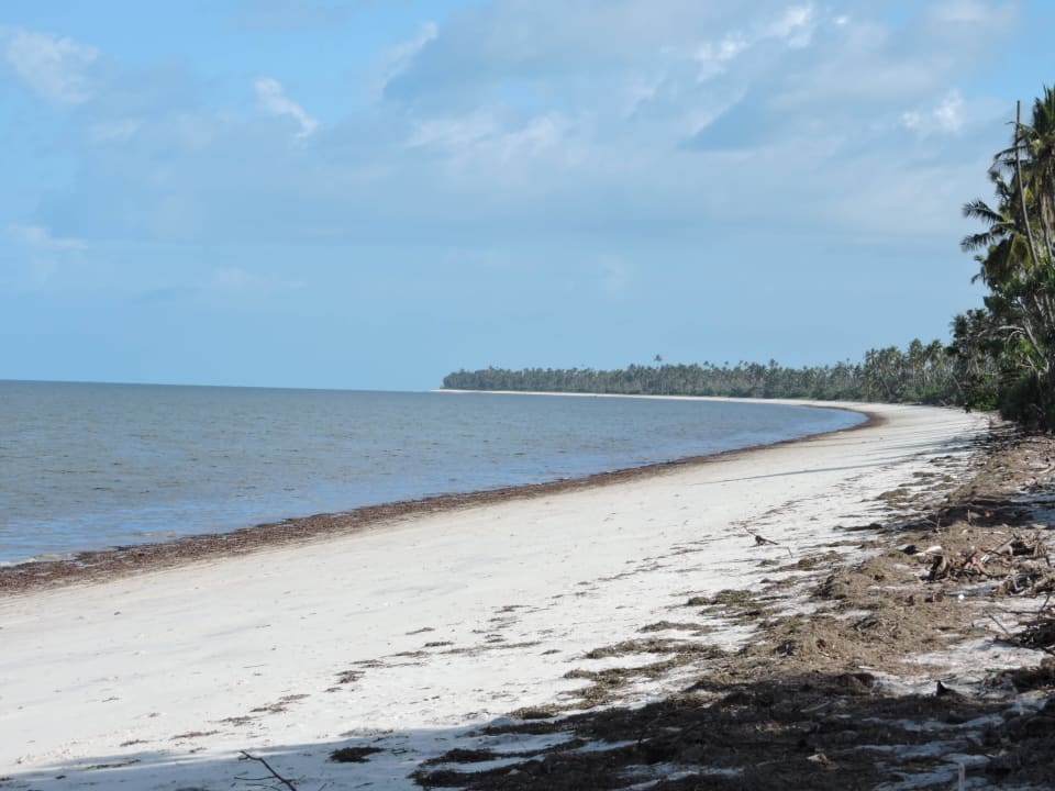 Strand Bahari Baobab Camp
