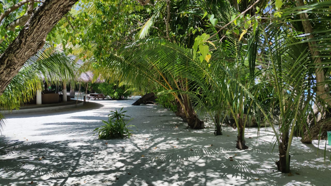 Gartenanlage Kuramathi Maldives