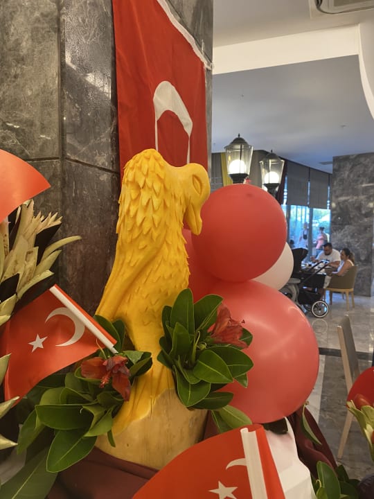 Gastro Seashell Vega