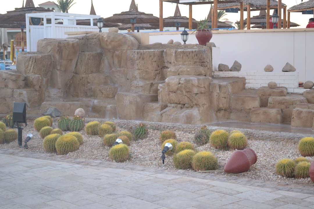 Kakteen Pickalbatros Dana Beach Resort - Hurghada