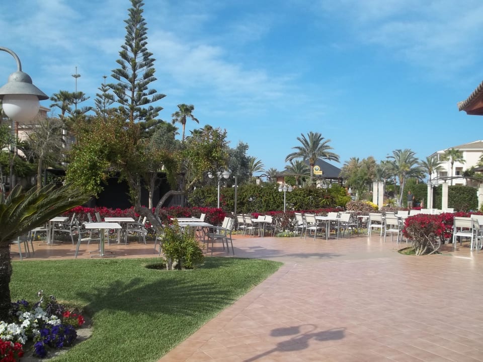 Hotel Playa Garden Playa Garden Selection Hotel & Spa