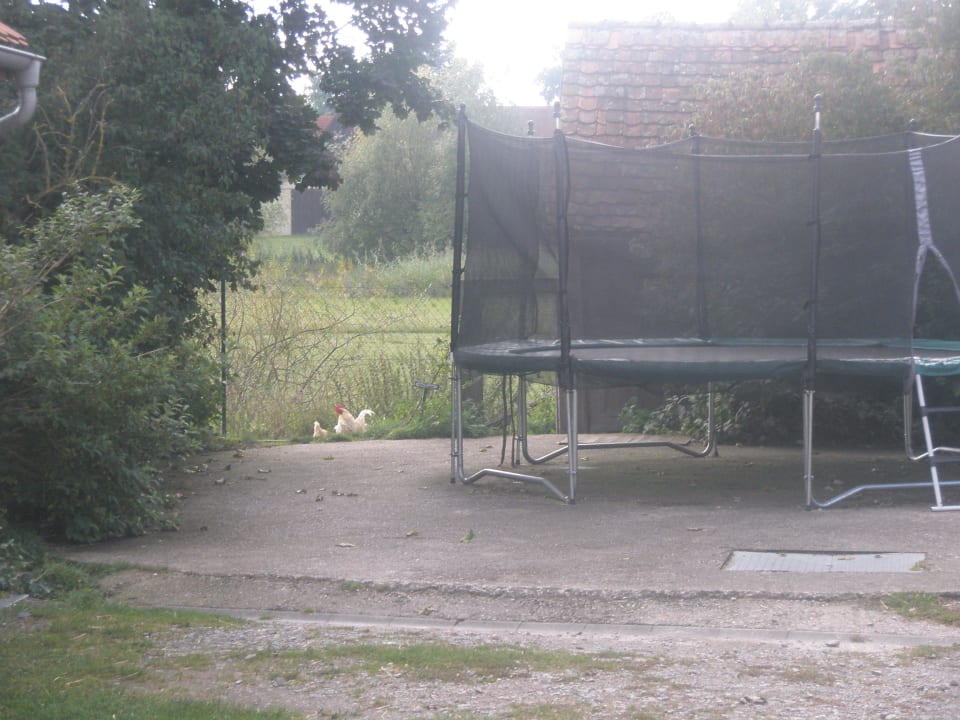 Großes Trampolin Ferienbauernhof Larrieder Mühle