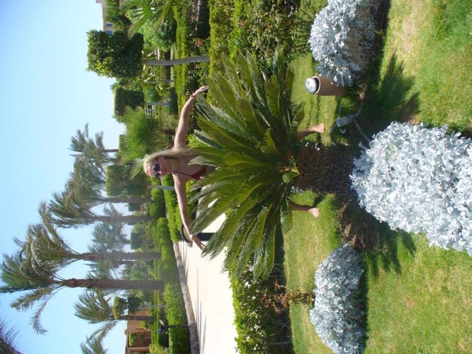 Festival Riviera Resort Riviera Aqua Park Resort