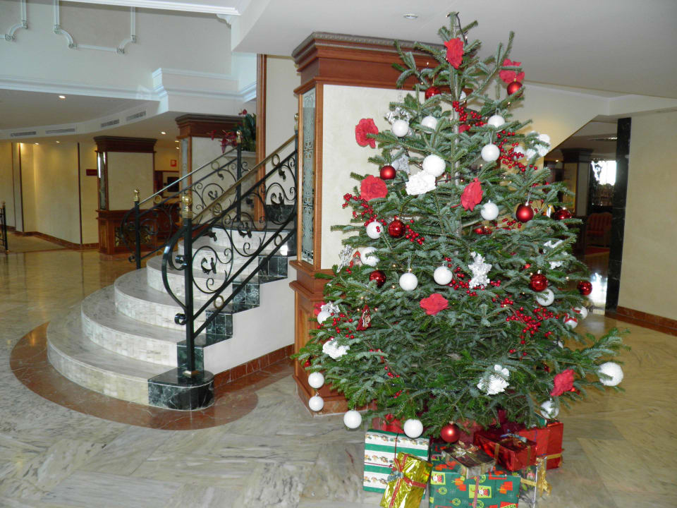 Empfangshalle Grupotel Acapulco Playa - Adults Only