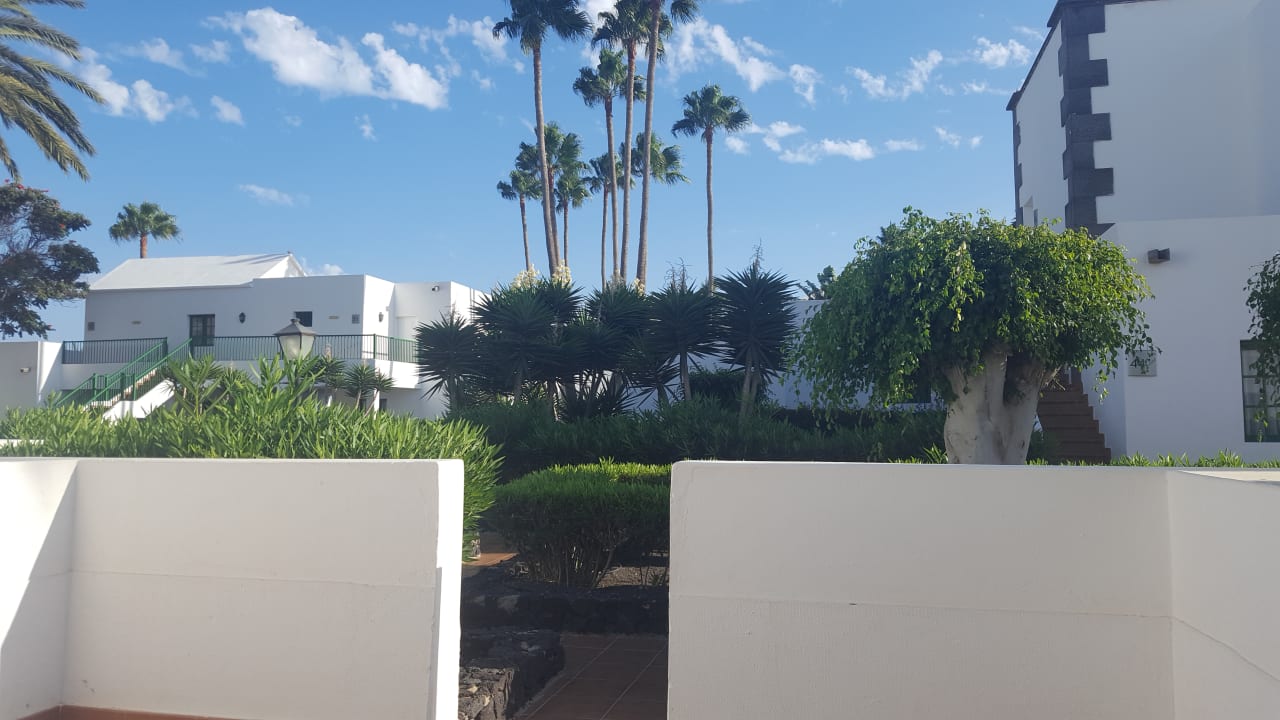 Gartenanlage Hotel Riu Paraiso Lanzarote