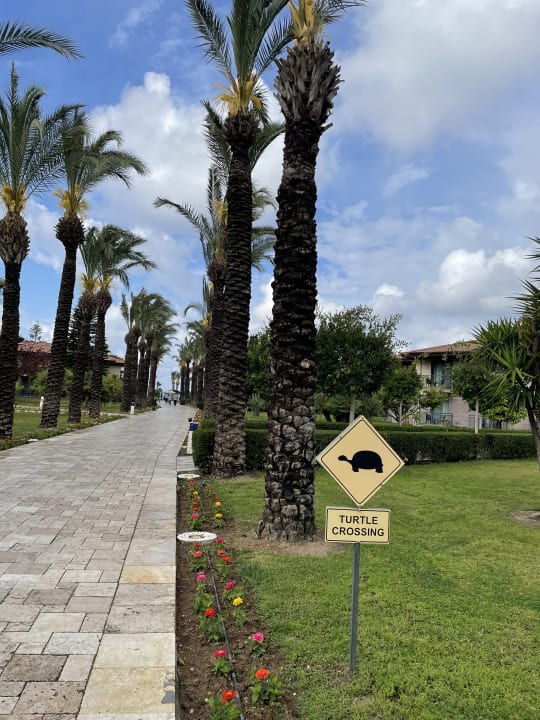 Gartenanlage TUI BLUE Palm Garden