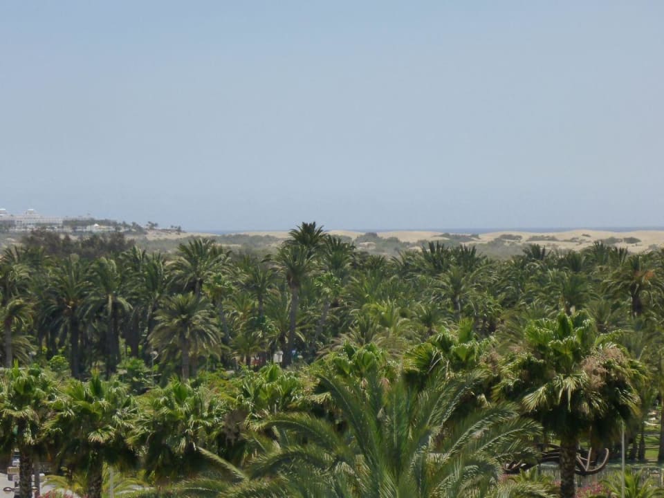 Ausblick aus unserem Zimmer zu den Dünen Lopesan Costa Meloneras, Resort & Spa