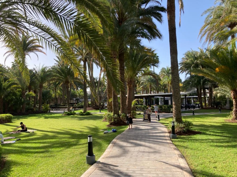 Außenansicht Hotel Riu Palace Oasis
