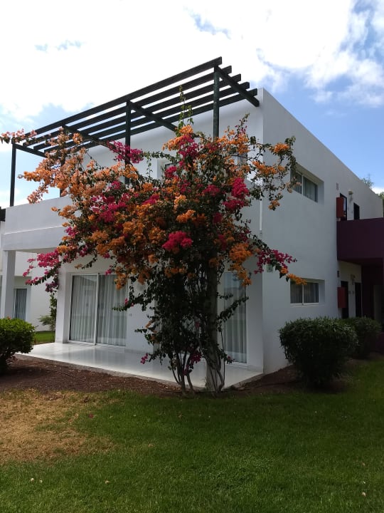 Gartenanlage allsun App.-Hotel Esquinzo Beach