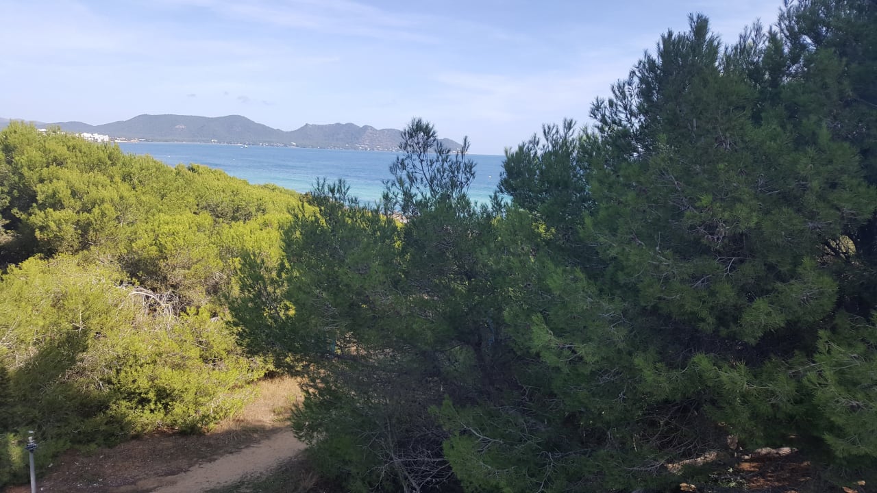 Zimmer Hipotels Bahía Cala Millor