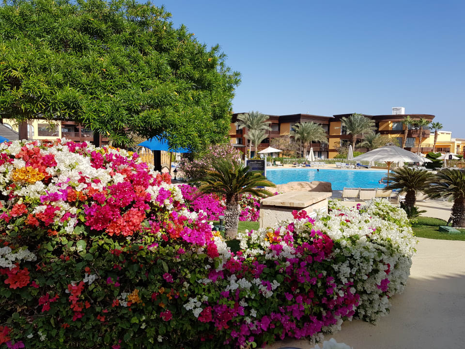 Gartenanlage Savoy Sharm El Sheikh