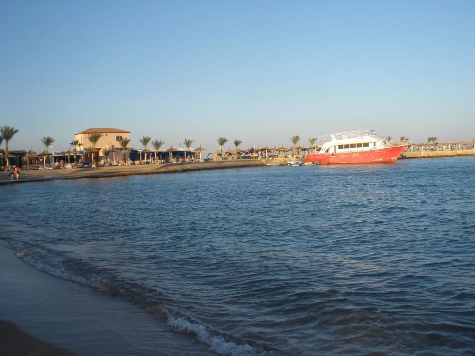Widok na część plaży dla gości Alabtros Garden Pickalbatros Aqua Park Resort - Hurghada