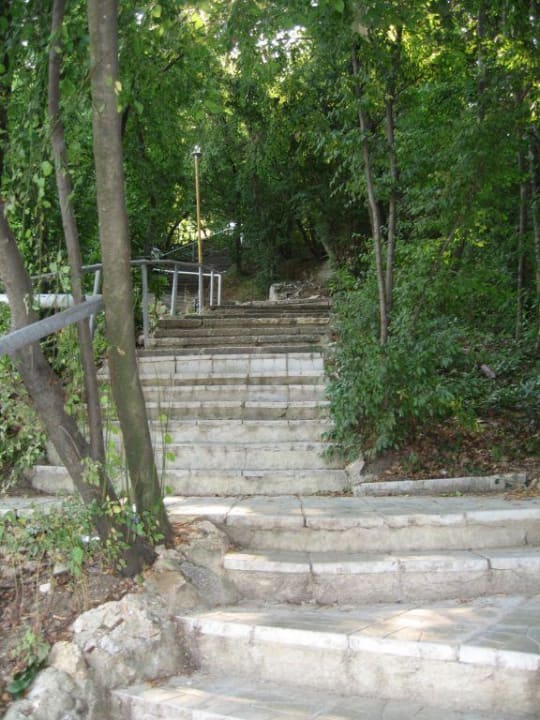 Die 85 Treppenstufen HVD Viva Club Hotel