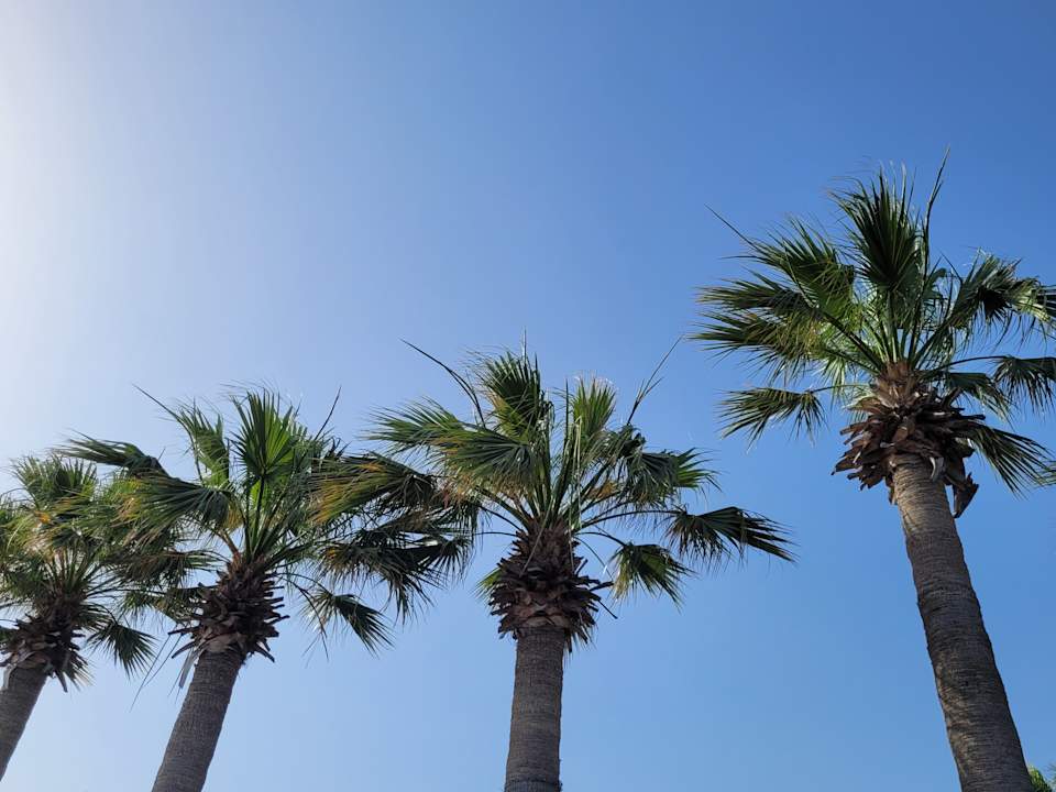 Sonstiges Megasaray Club Belek