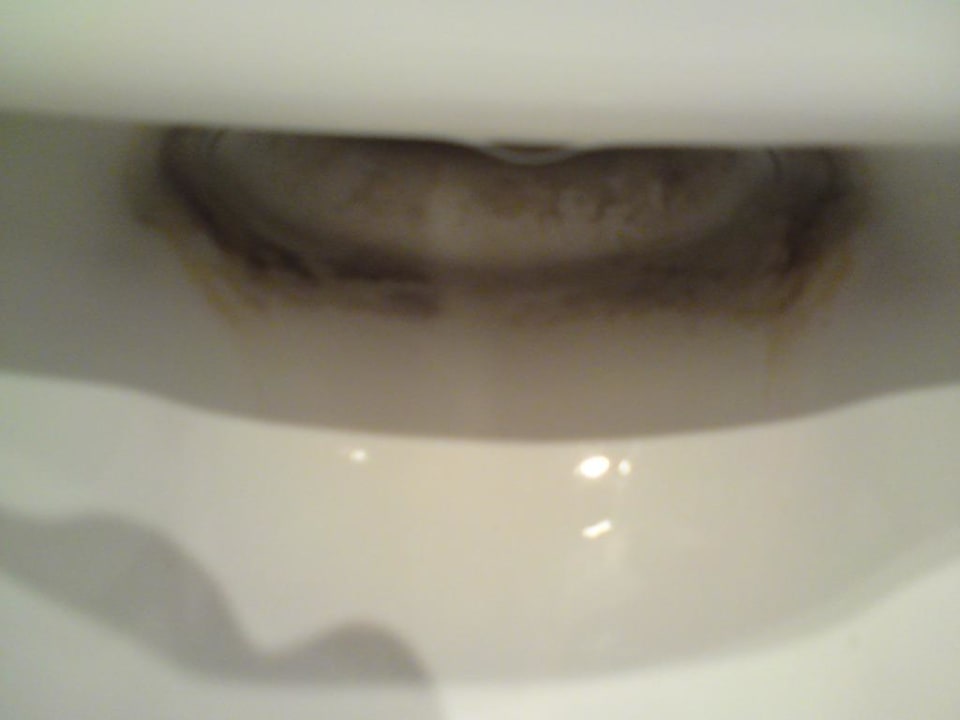 Unschönes Toilettenbecken Four Points by Sheraton Panoramahaus Dornbirn