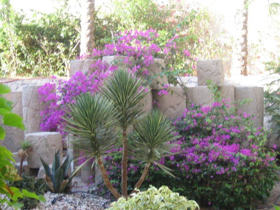 Gartenanlage Prima Life Makadi Resort