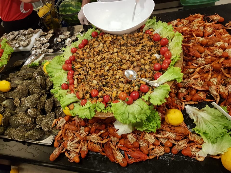 Gastro Arycanda Kirman Premium