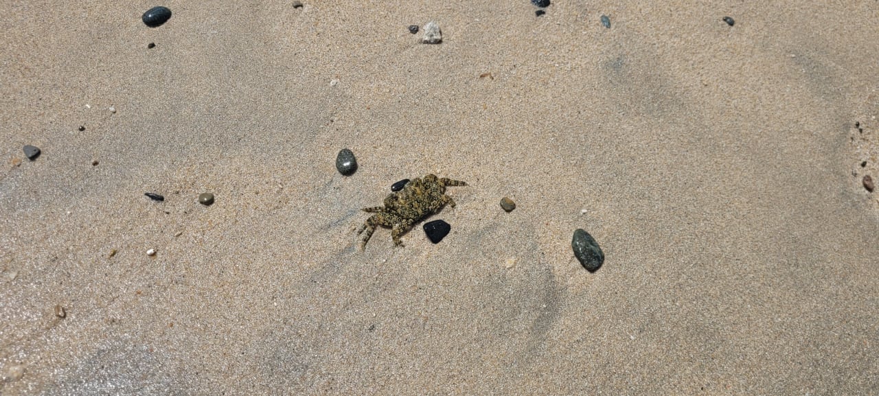 Strand Pickalbatros Villaggio Resort - Portofino