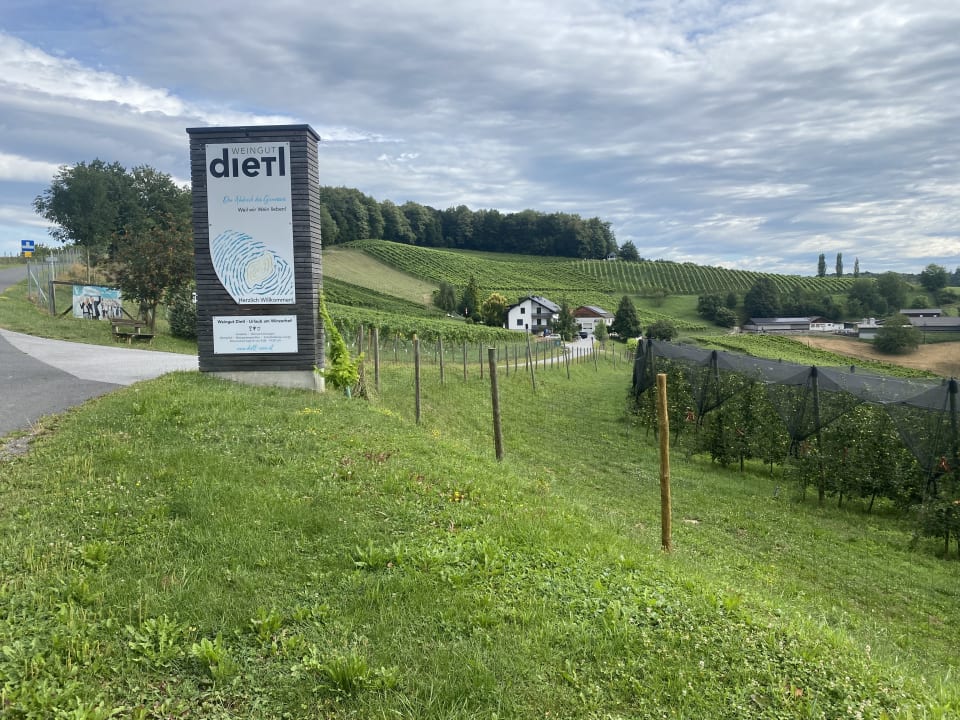 Ausblick Weingut Dietl
