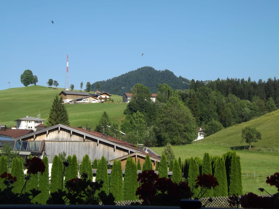 Das sahen wir wenn wir Frühs aufwachten Hotel Brandauerhof