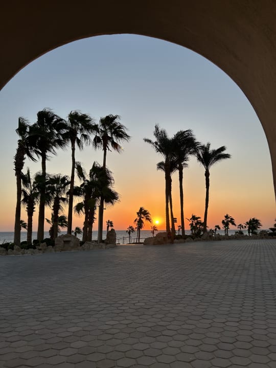 Ausblick Pickalbatros Citadel Resort