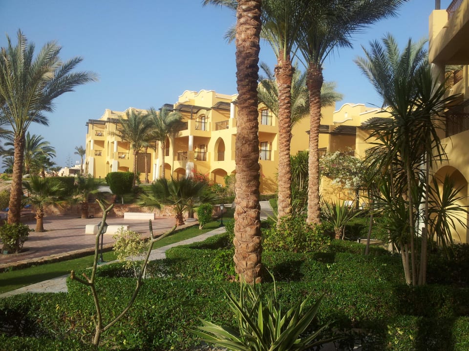 Marsa Alam Jaz Solaya