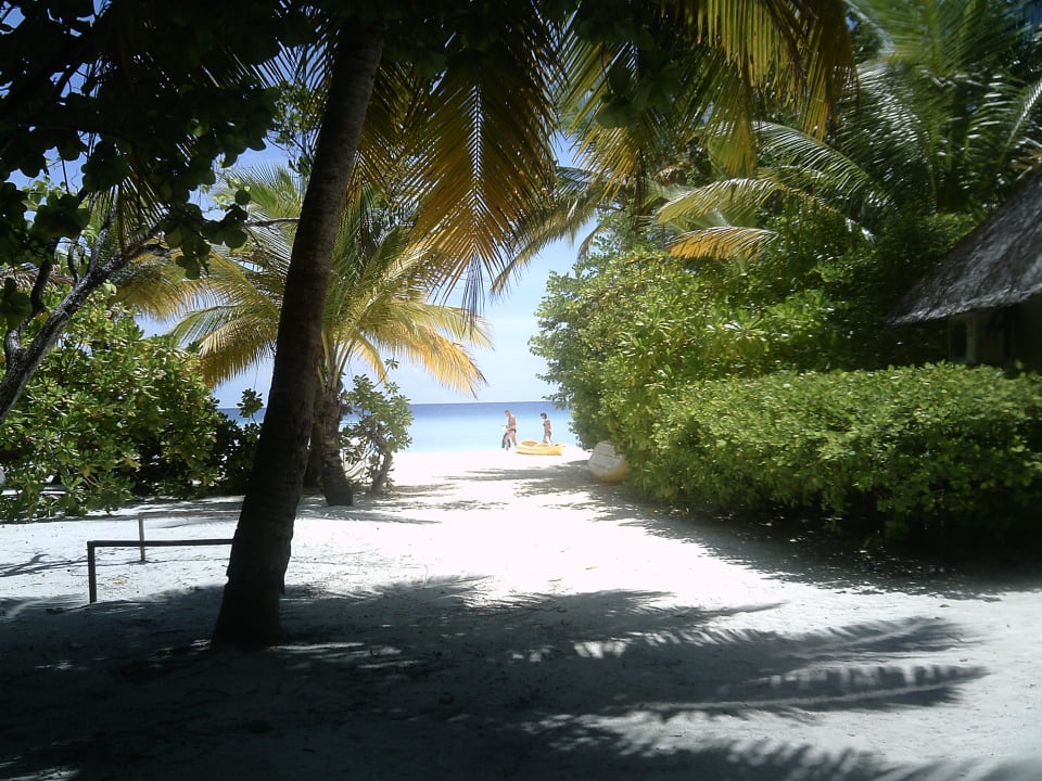 Zugang zum Jetty Summer Island Maldives