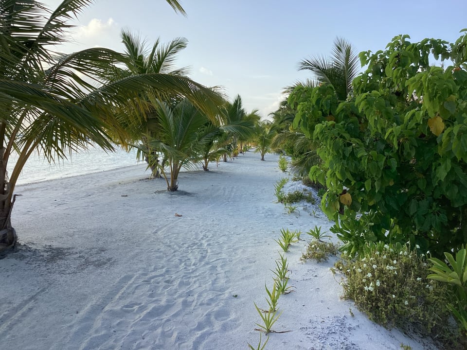 Strand South Palm Resort Maldives
