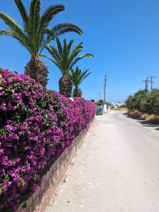 Gartenanlage Corali Hotel